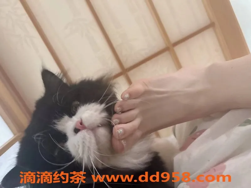 沈阳楼凤-马老师，颜值9.29，服务态度一流！