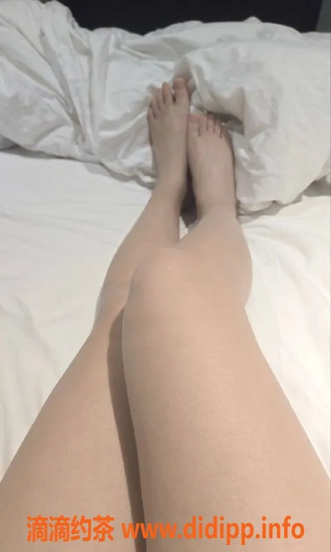 沈阳楼凤-魔芋爽，颜值超高服务贴心，体验满分