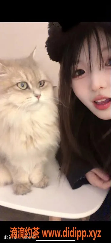 沈阳楼凤资源信息,朵拉，颜值8.6，服务态度超赞，价格1000