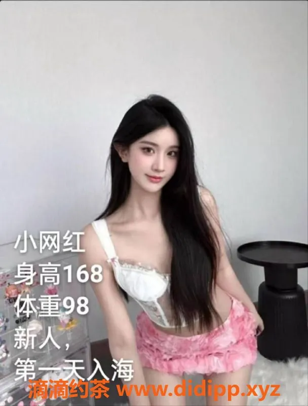 中山楼凤-中山沙溪快餐服务，350元超值体验