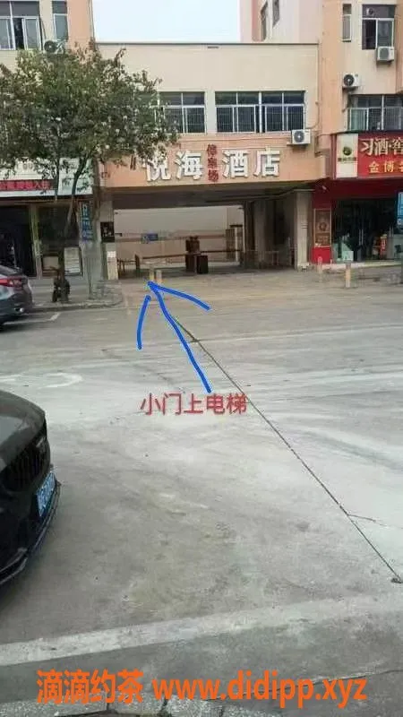 中山楼凤-江门江海洗吹做快餐，300元起