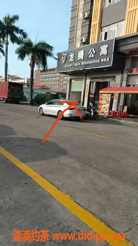 中山楼凤-顺德均安3位美丽艺人，快餐300元，洗吹做400元