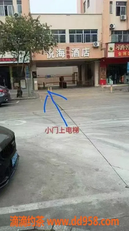 中山楼凤-江门江海洗吹做，超值快餐服务体验