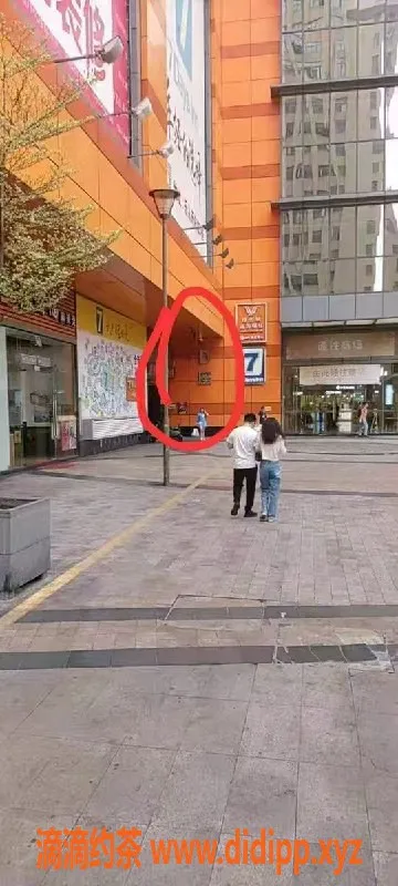 中山楼凤-顺德乐从4位小姐，300元快餐体验