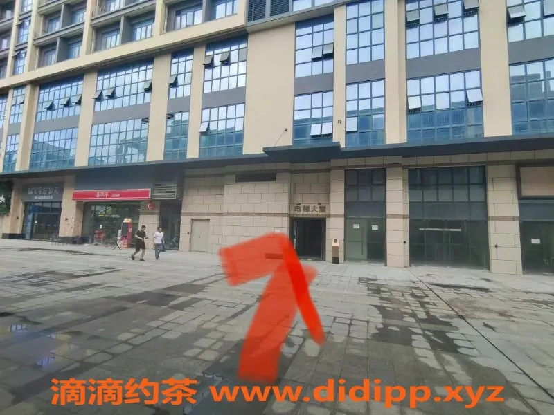 中山楼凤-顺德伦教双人服务，快餐300元起