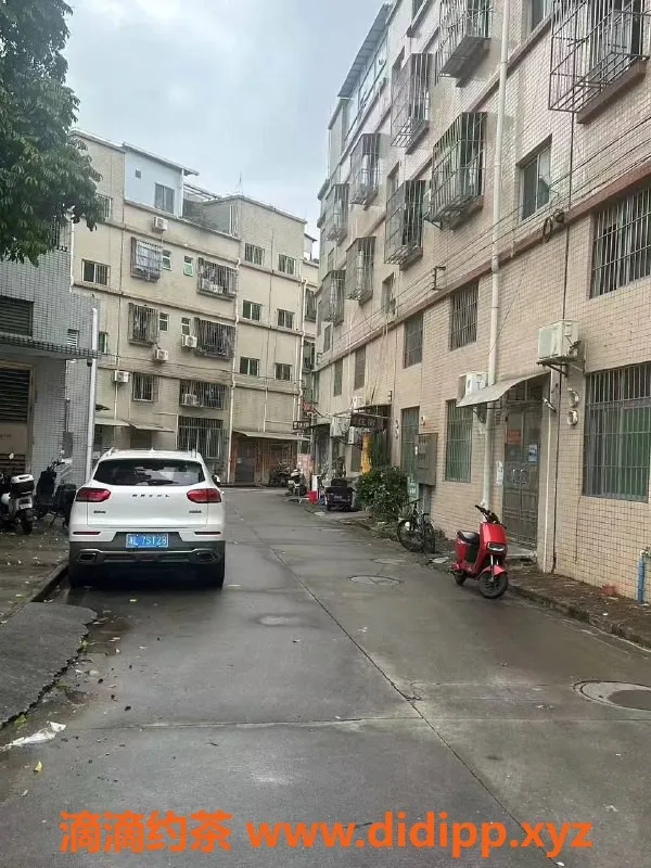 中山楼凤-东升优质服务体验，400快餐、500洗吹做