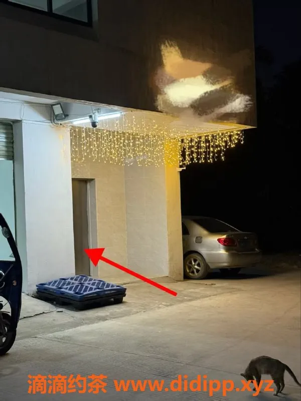 中山楼凤资源信息,中山西区00后大长腿，身高170，快餐300元！