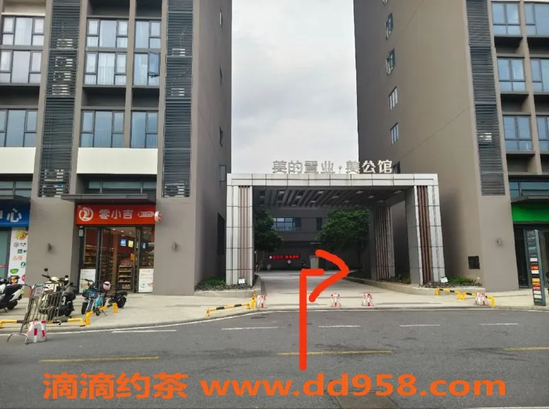 中山楼凤-顺德大良七位小姐，300享快餐体验