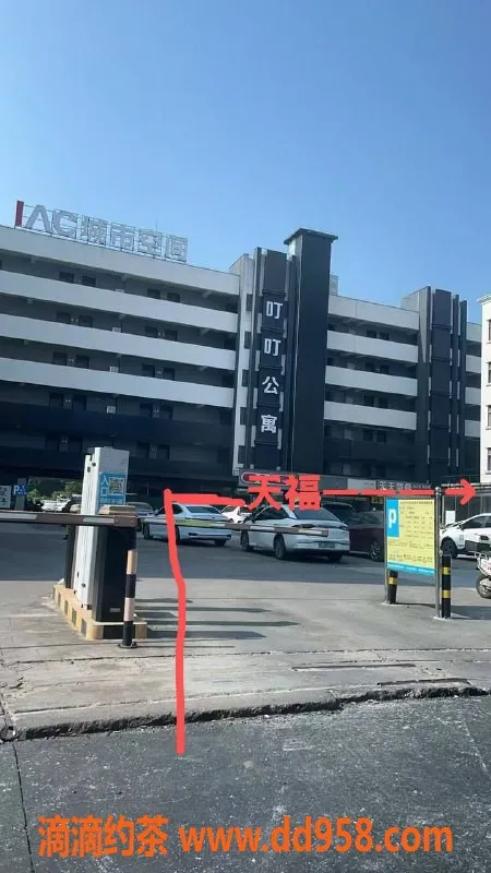 中山楼凤-中山小榄优质服务，350快餐体验佳