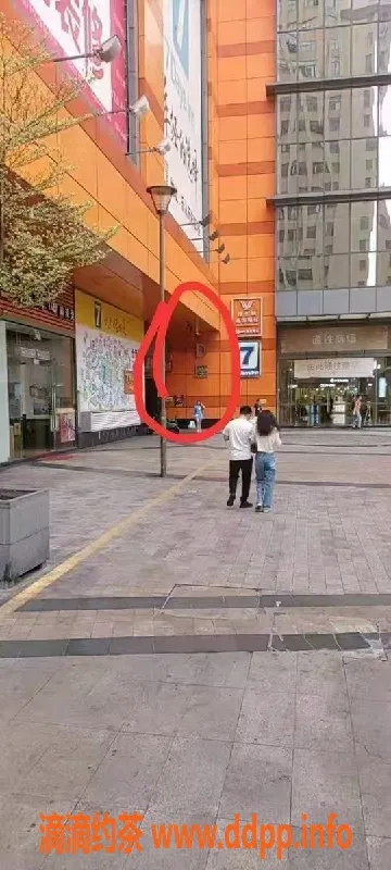 中山楼凤-顺德乐从4位艺人，洗吹做仅需400