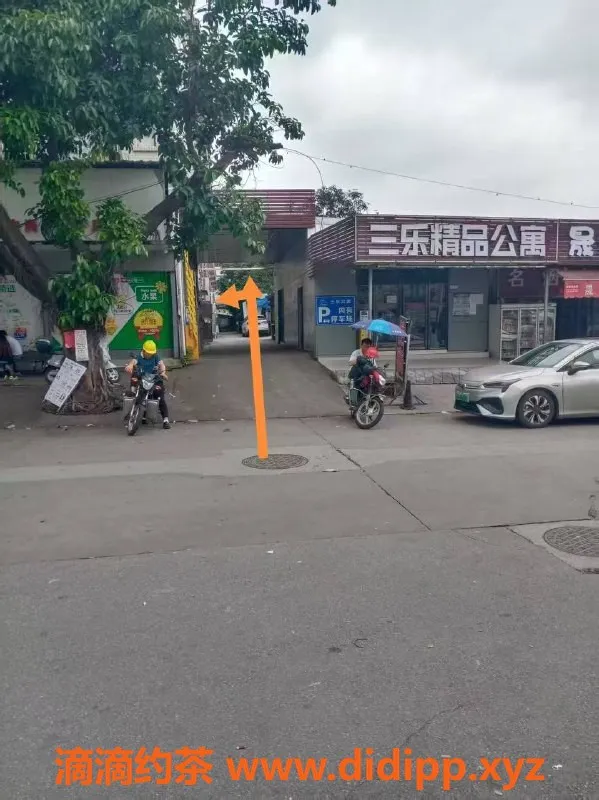 中山楼凤-蓬江四位性感美眉，快餐300起，尽享服务