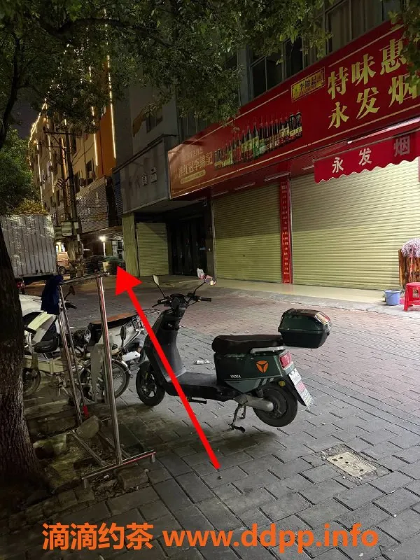 中山楼凤-中山西区体验高品质服务，300元起