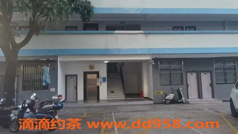 中山楼凤-小榄优质服务，经济实惠快餐300元起