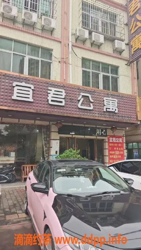 中山楼凤资源信息,古镇优质服务，350元快餐体验