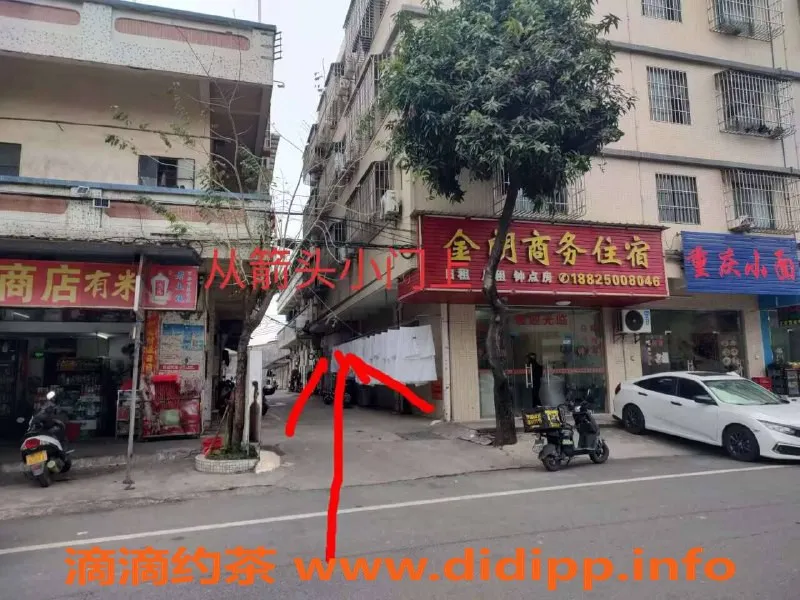 中山楼凤-蓬江美丽服务，300快餐畅享体验