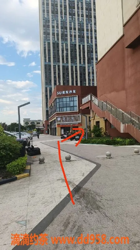 中山楼凤-顺德杏坛高品质洗吹，400元一次