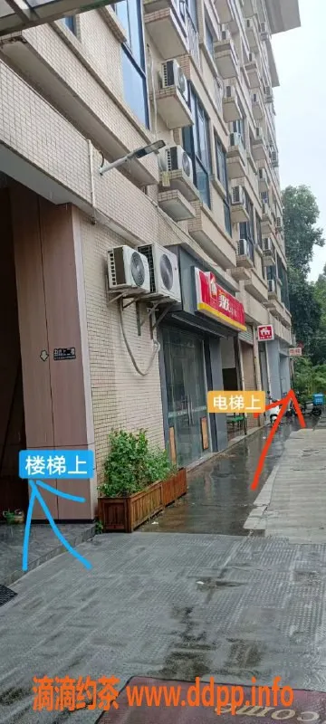 中山楼凤资源信息,中山古镇优质洗吹服务，300元起