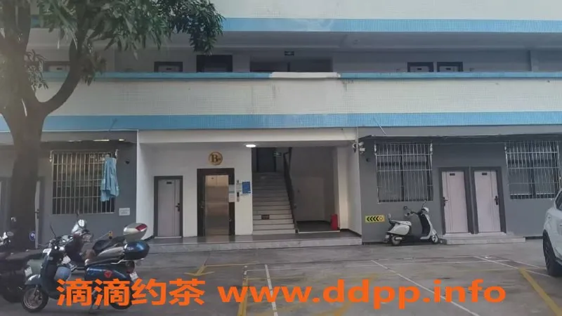 中山楼凤资源信息,中山小榄优质服务 300元快餐等你体验