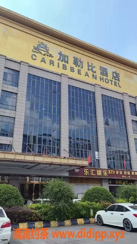 中山楼凤-中山小榄高性价比洗吹做服务，300起