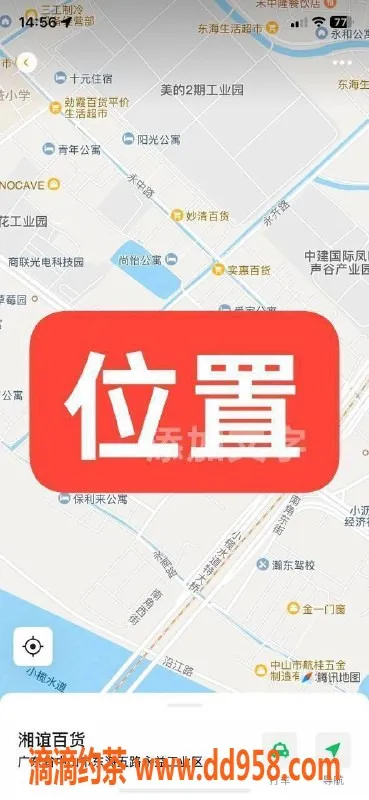 中山楼凤-东凤地区优质服务 价格300起