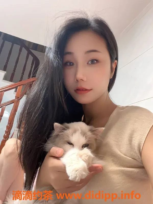 东莞楼凤-寮步梓玥，优质服务，价格合理