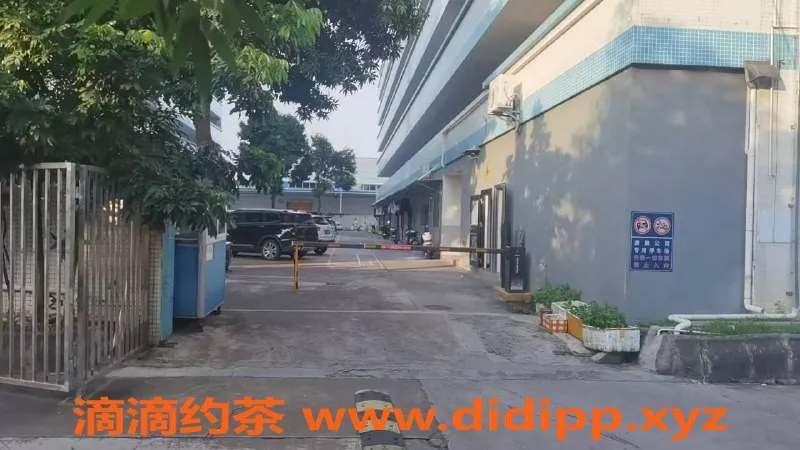 中山楼凤-小榄大奶服务热荐，300元快餐体验