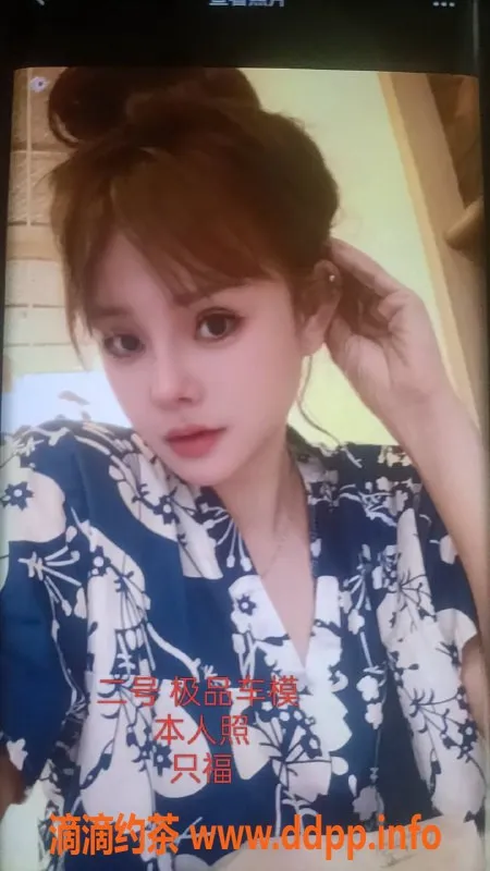 中山楼凤-外海精致服务，400快餐双姝体验