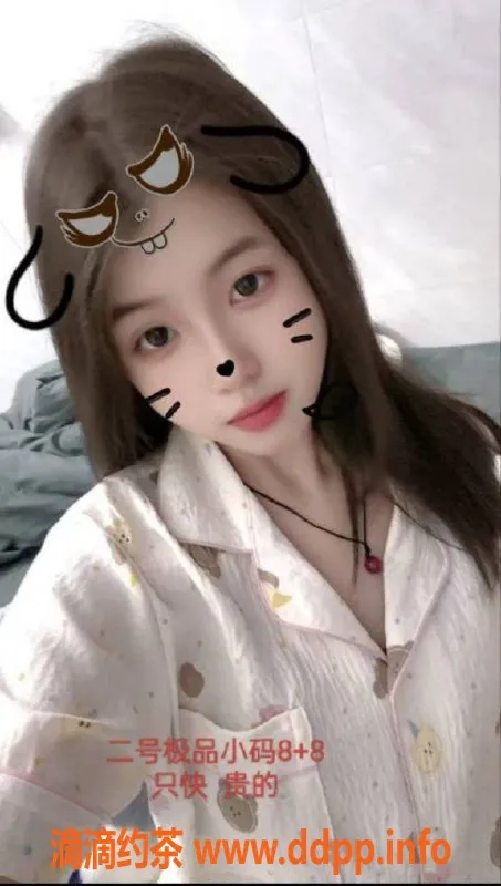 中山楼凤-江门外海高端快餐服务，400起