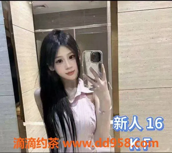 中山楼凤-中山东升高性价比服务，400元快餐