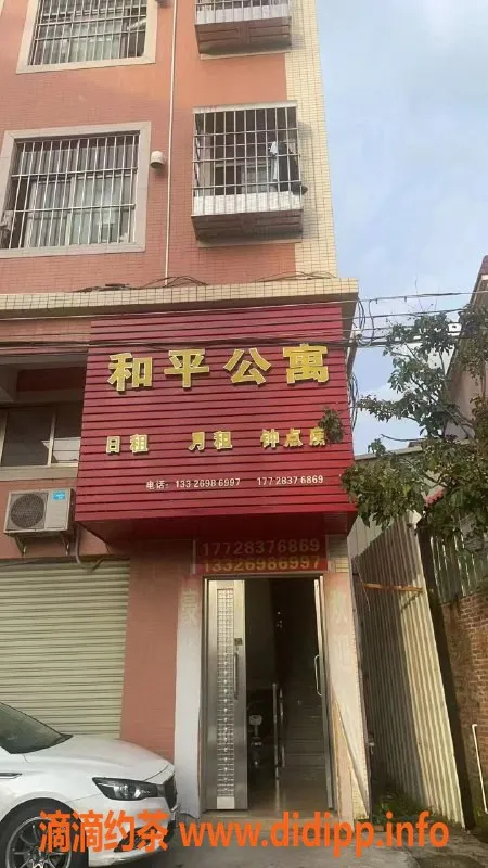 中山楼凤-中山东凤高颜值小姐姐，300元快餐体验