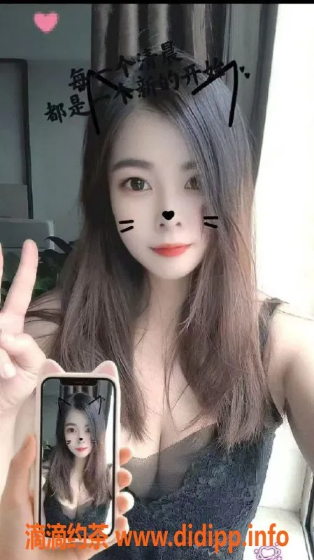 中山楼凤-中山港口优质服务，快餐只需300元