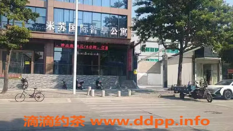 中山楼凤-江门江海新晉楼凤，快餐仅300元