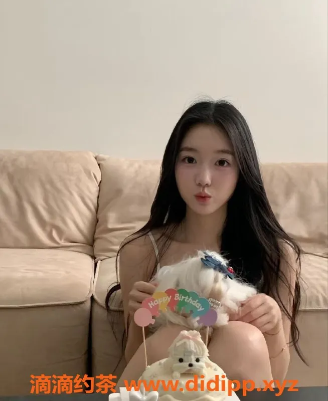 中山楼凤-江门江海优质服务，快餐仅需300元