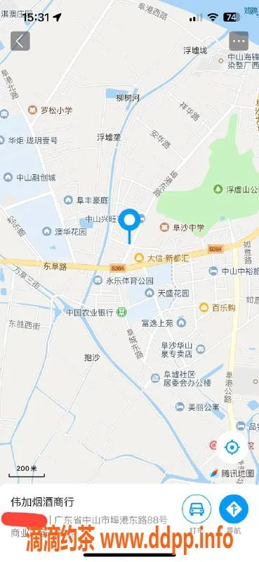 中山楼凤-埠沙两位女神，快餐300，洗吹400