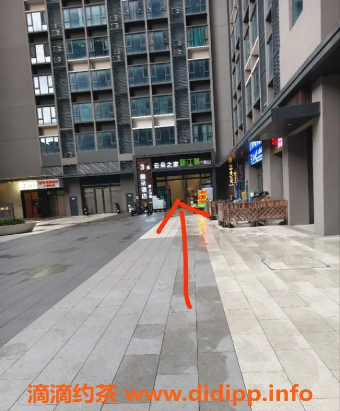 中山楼凤-顺德大良新推荐！300元快餐服务等你来体验