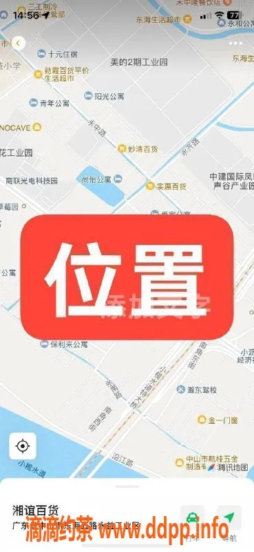 中山楼凤-中山东凤优质服务 仅需300元起