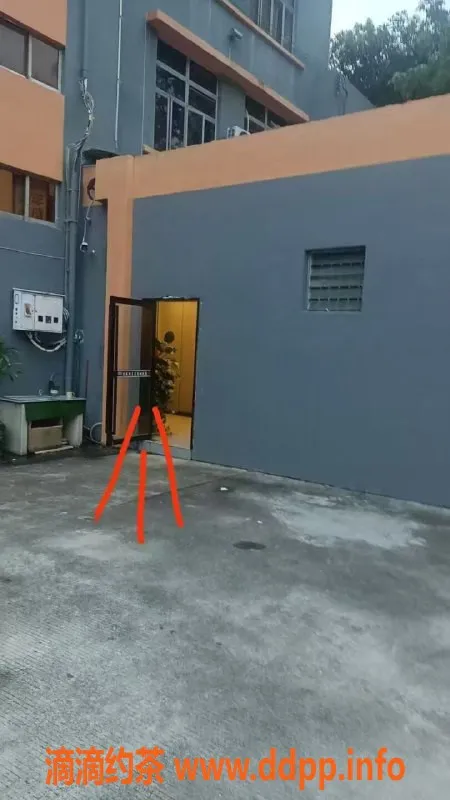 中山楼凤-中山小榄优质快餐服务，300元起