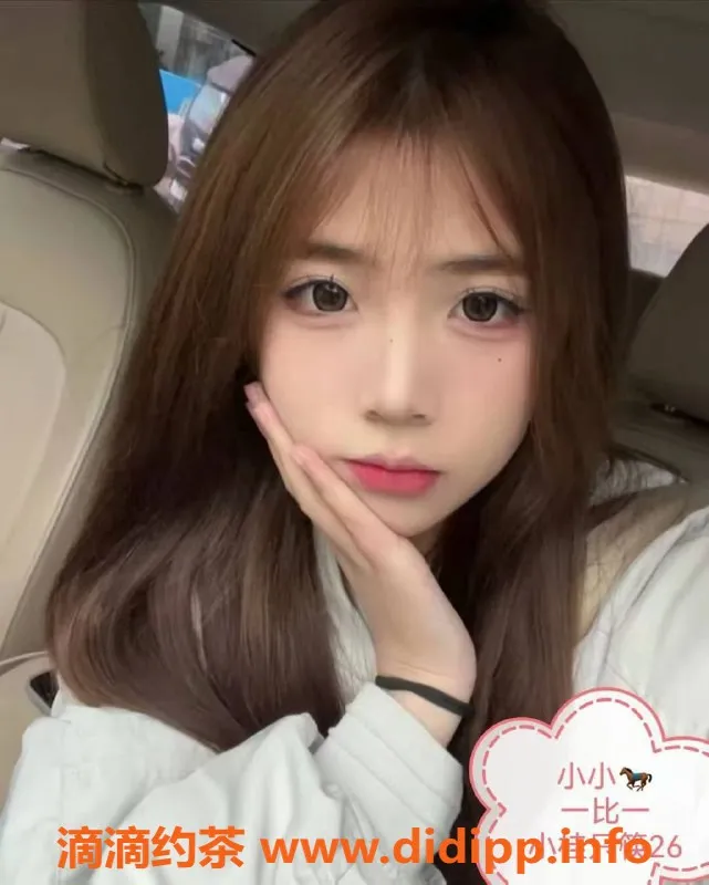 中山楼凤-东升专属快餐体验，仅需400