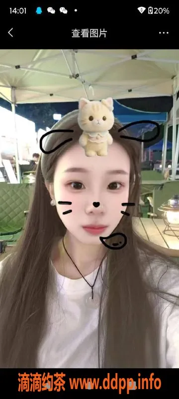 中山楼凤-石岐 4位美丽小姐，快餐300元起