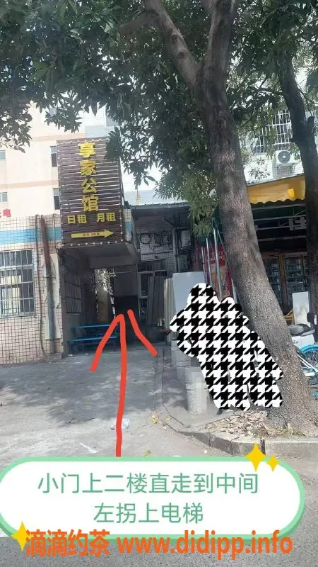 中山楼凤-江海地区高颜值洗吹服务，300元起