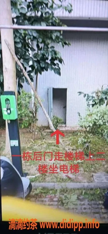 中山楼凤资源信息,火炬附近 优质服务 300快餐/400洗吹做