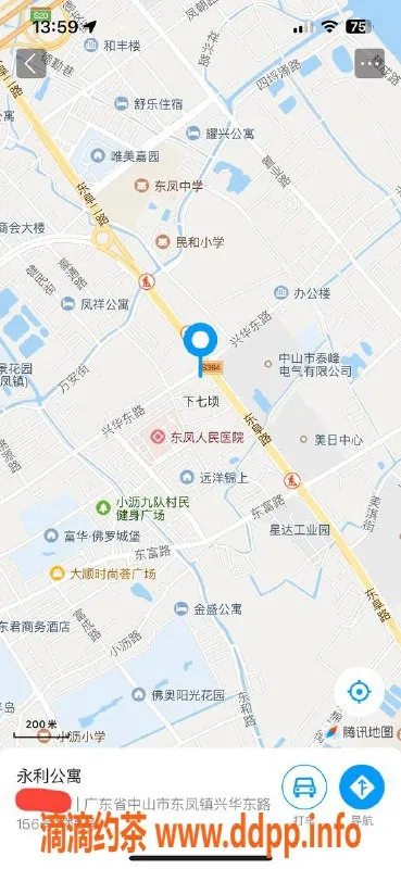 中山楼凤资源信息,东凤新鲜上架！300元快餐，400元洗吹做