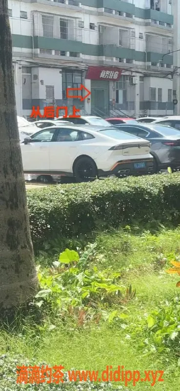 中山楼凤-火炬地区优质服务，300快餐，400洗吹做