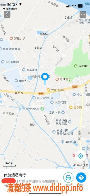 中山楼凤-埠沙优质服务，400洗吹做只需价格亲民