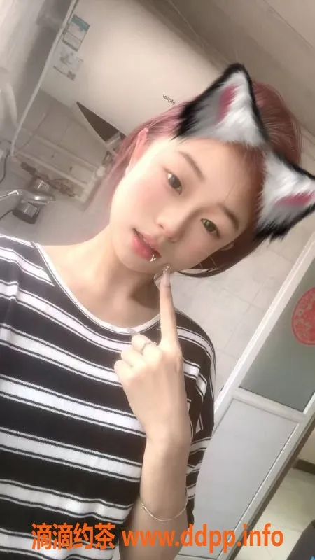 中山楼凤-东升地区400快餐优质服务，等你来体验