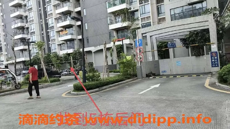 中山楼凤-火炬区域优质服务，快餐300起