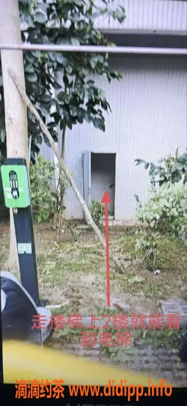 中山楼凤资源信息,火炬区域优质服务，快餐300起