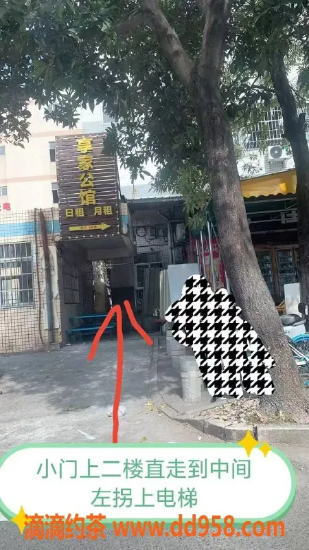 中山楼凤-江海地区美丽服务，400洗吹做，价格亲民