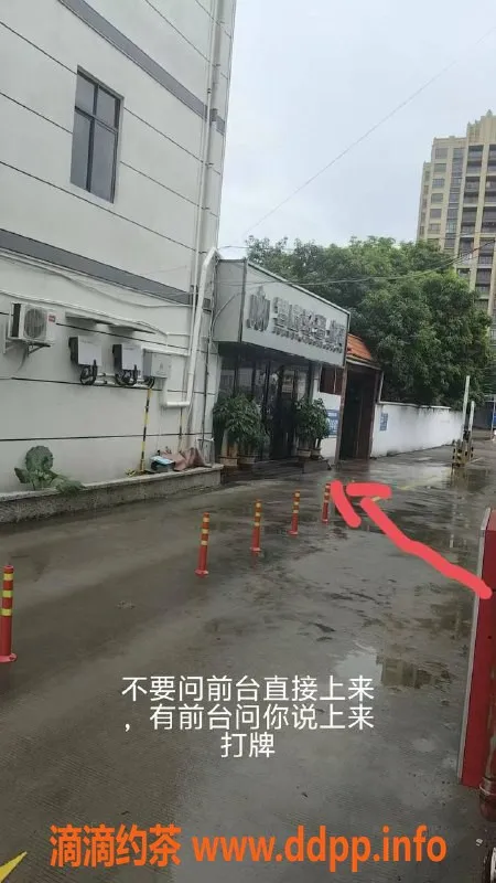 中山楼凤-民众地区高性价比温柔服务体验