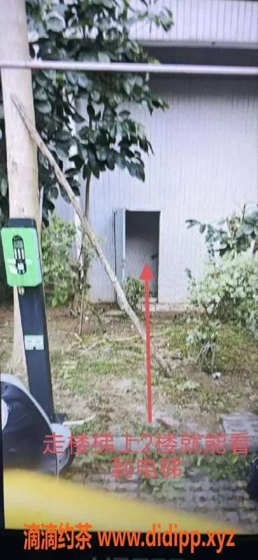 中山楼凤-火炬地区👩‍💼馨馨，快餐300，洗吹做400